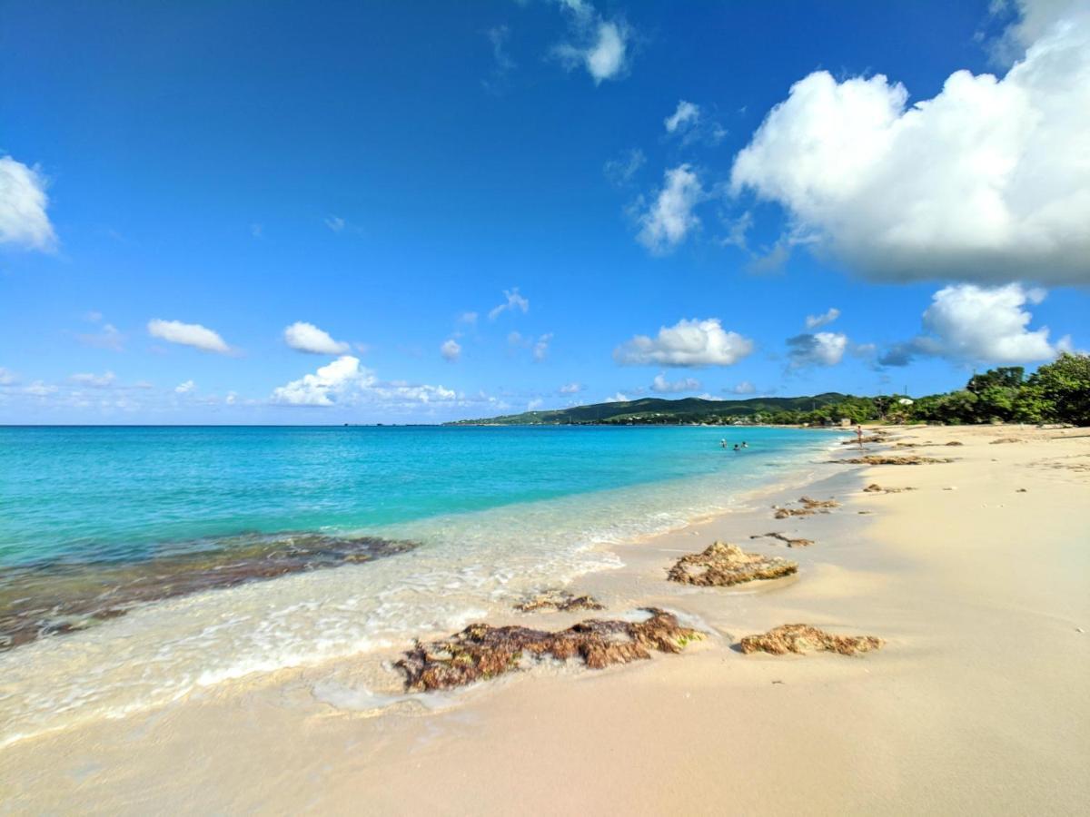 Sand Castle On The Beach - Adults Only Frederiksted المظهر الخارجي الصورة